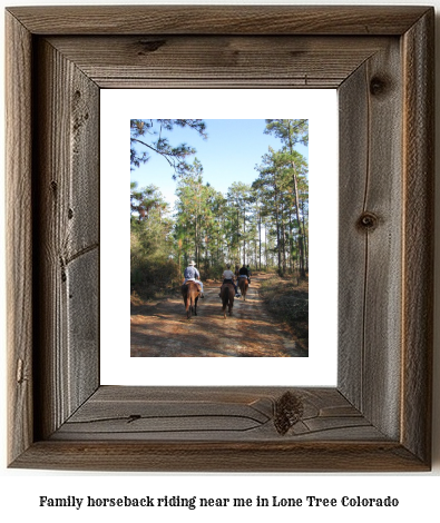 family horseback riding near me in Lone Tree, Colorado